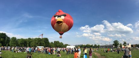 kolorowy balon Angry Birds